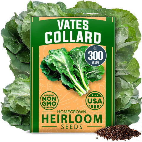Vates Collard Seeds - 300 Seeds - Cold-Hardy Heirloom
