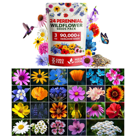 North American Wildflower Seed Mix - 24 Varieties (3 oz)