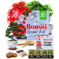Indoor Herb Garden Starter Kit - (5 Variety)