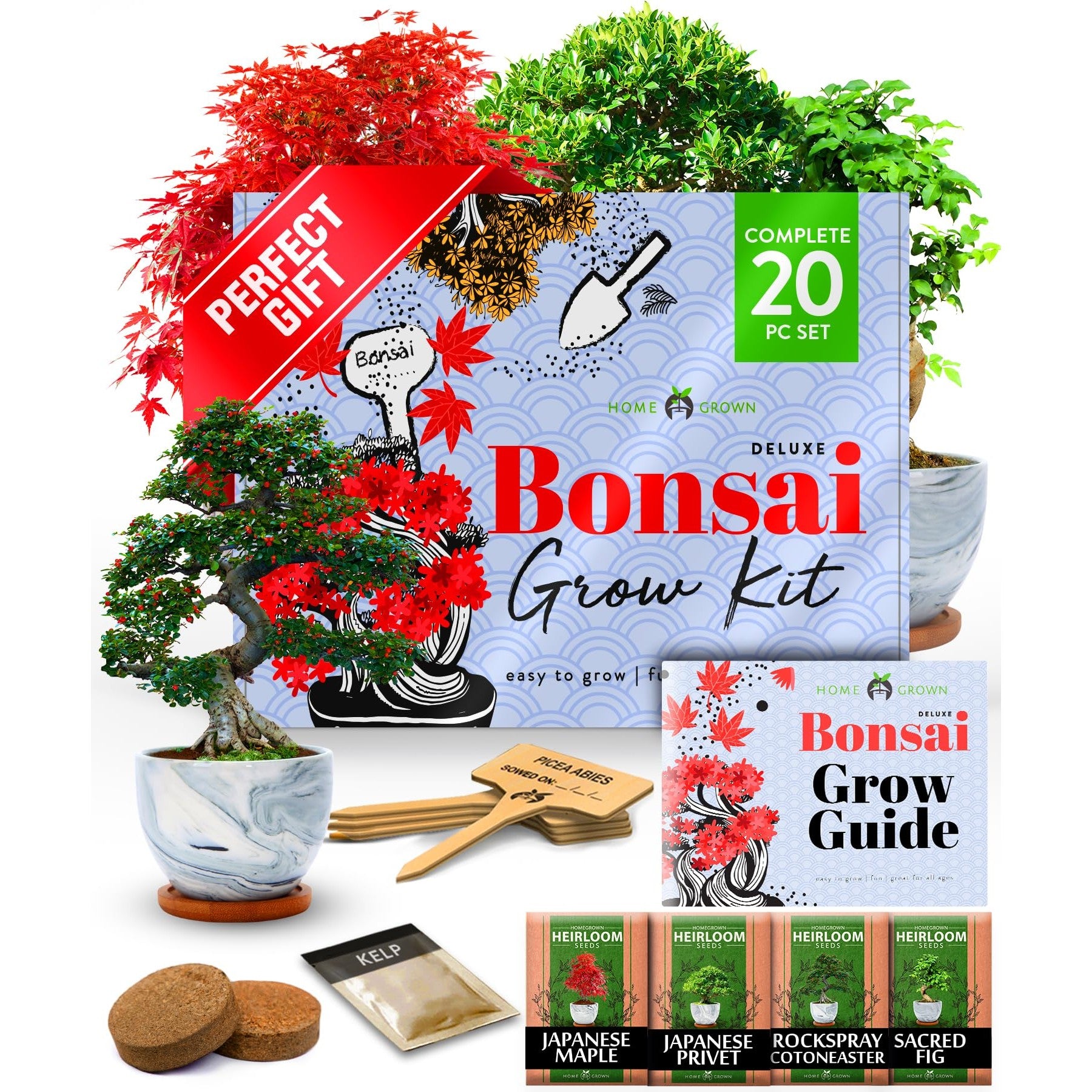Indoor Herb Garden Starter Kit - (5 Variety)
