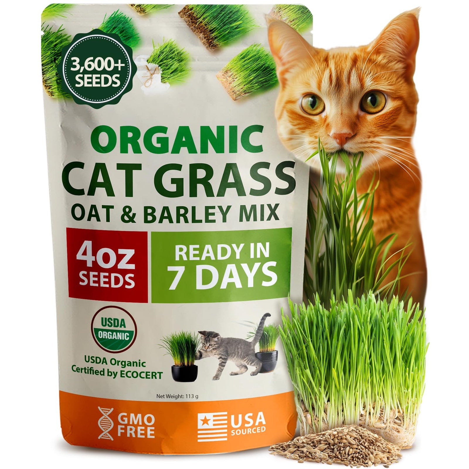 Organic Cat Grass Seeds - 4 oz - Oat & Barley Blend