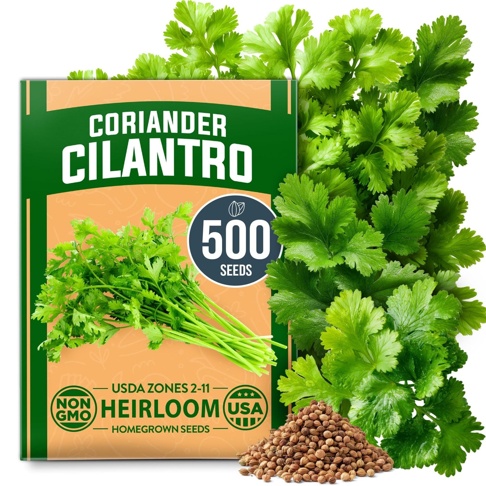 Cilantro Seeds - 250 Seeds - Heirloom Coriander