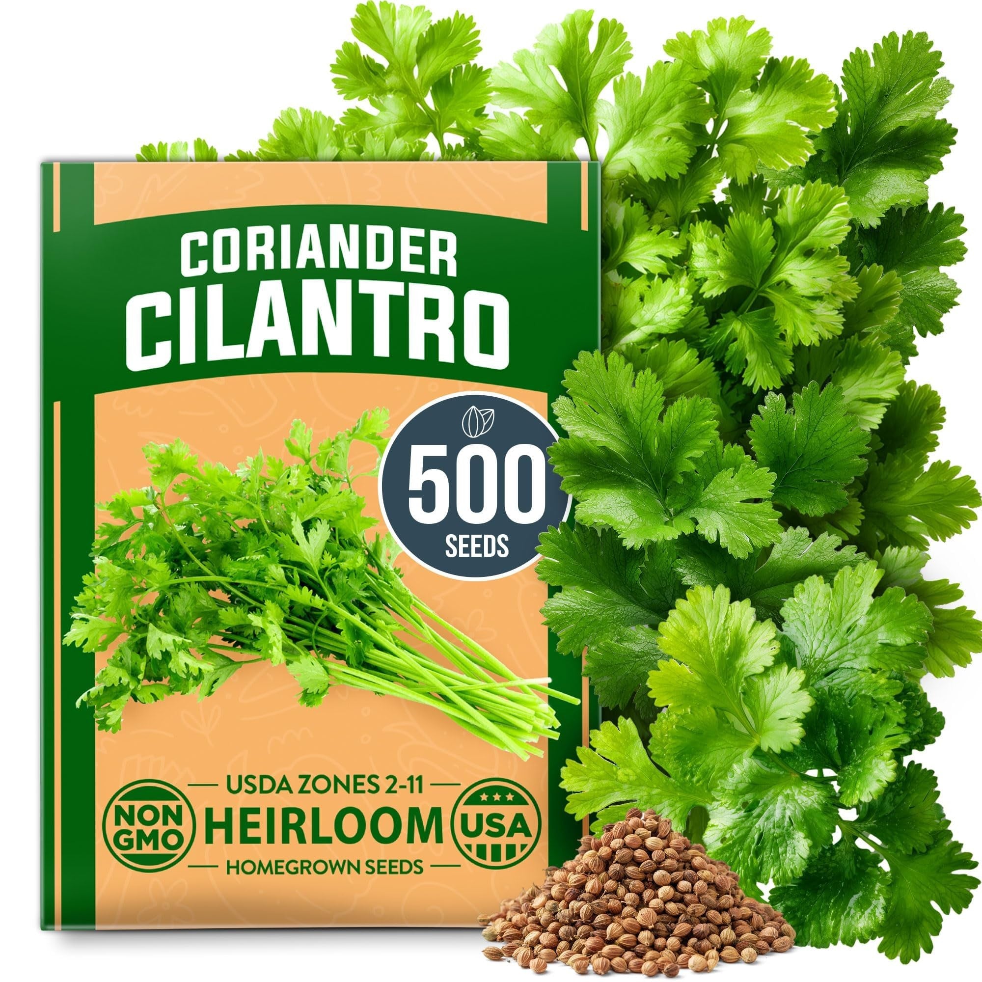 Cilantro Seeds - 250 Seeds - Heirloom Coriander