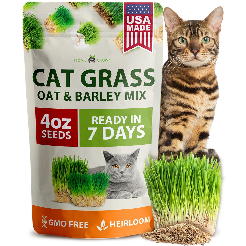Cat Grass Seeds Bulk