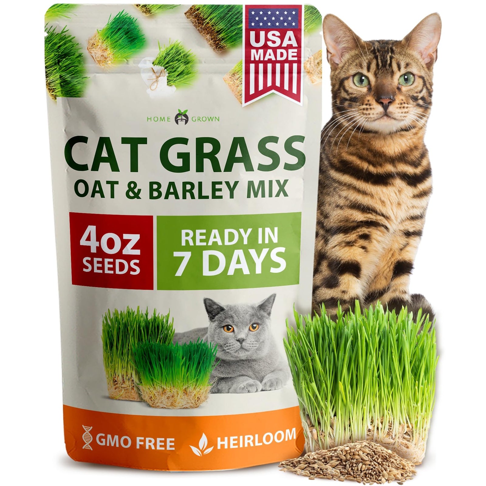 Cat Grass Seeds Bulk