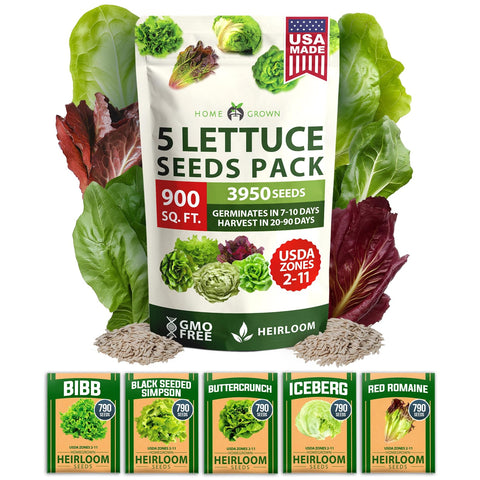 Lettuce Seed Pack - 5 Varieties (3,950 Seeds) - Salad Garden Mix