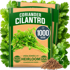 Organic Santo Cilantro Seeds - 1,000 Seeds - Slow Bolt