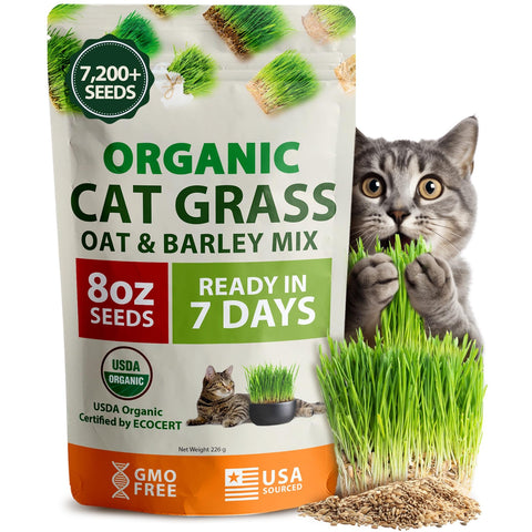 Organic Cat Grass Seeds - 8 oz - Oat & Barley Blend