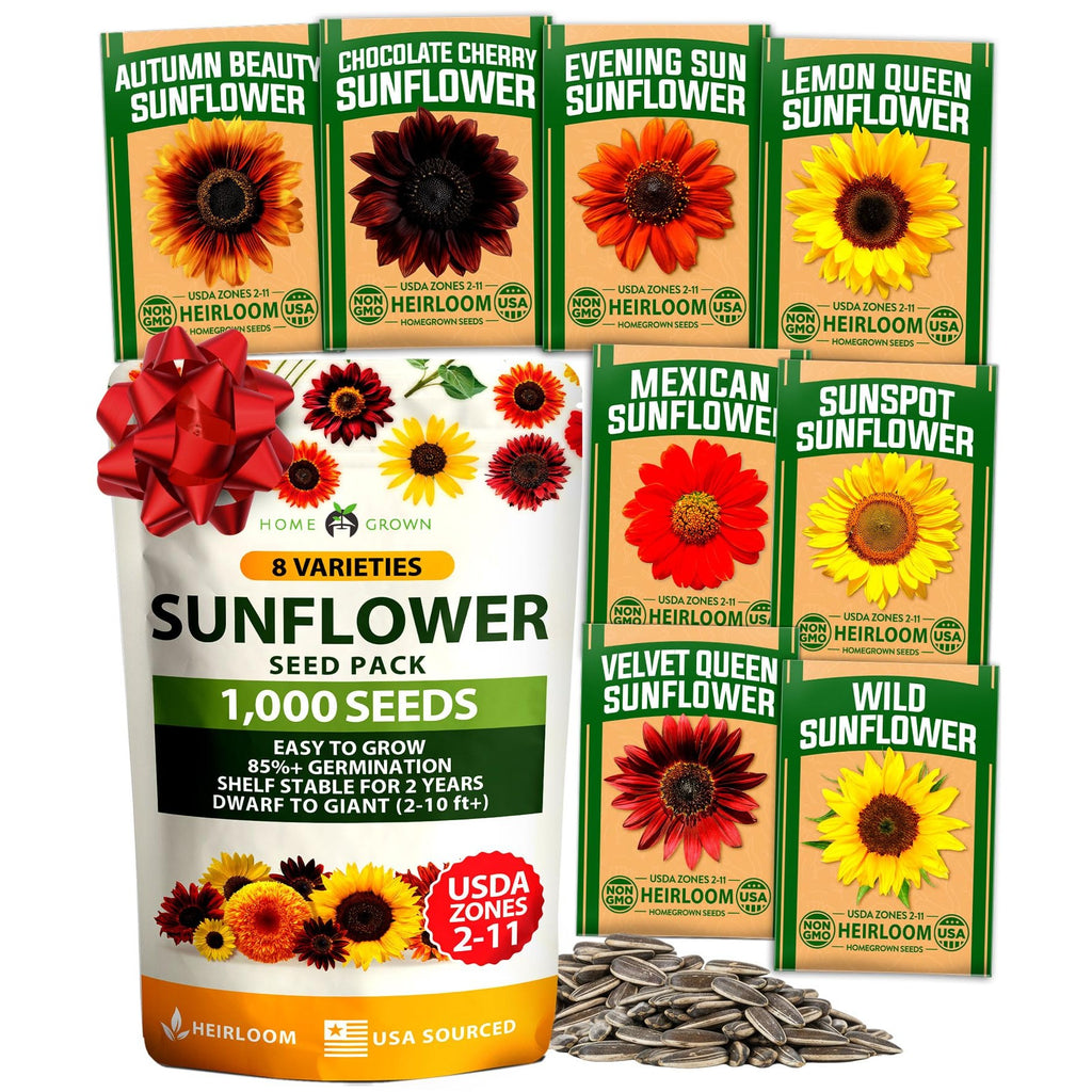 Sunflower Seeds - (8 Variety)
