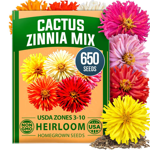 Cactus Mix Zinnia Seeds - 650 Seeds - Large Cut-Flower Blooms
