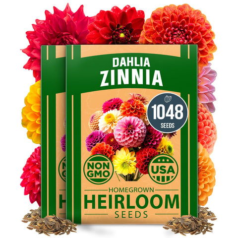Dahlia Zinnia Seeds - 1,048 Seeds (2-Pack) - Large Double Blooms