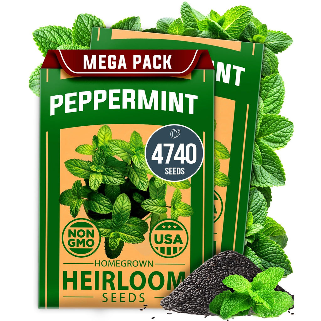 Peppermint Seeds - 4,740 Seeds (2-Pack) - Classic Tea Herb