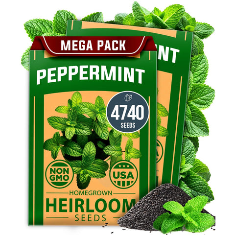 Peppermint Seeds - 4,740 Seeds (2-Pack) - Classic Tea Herb