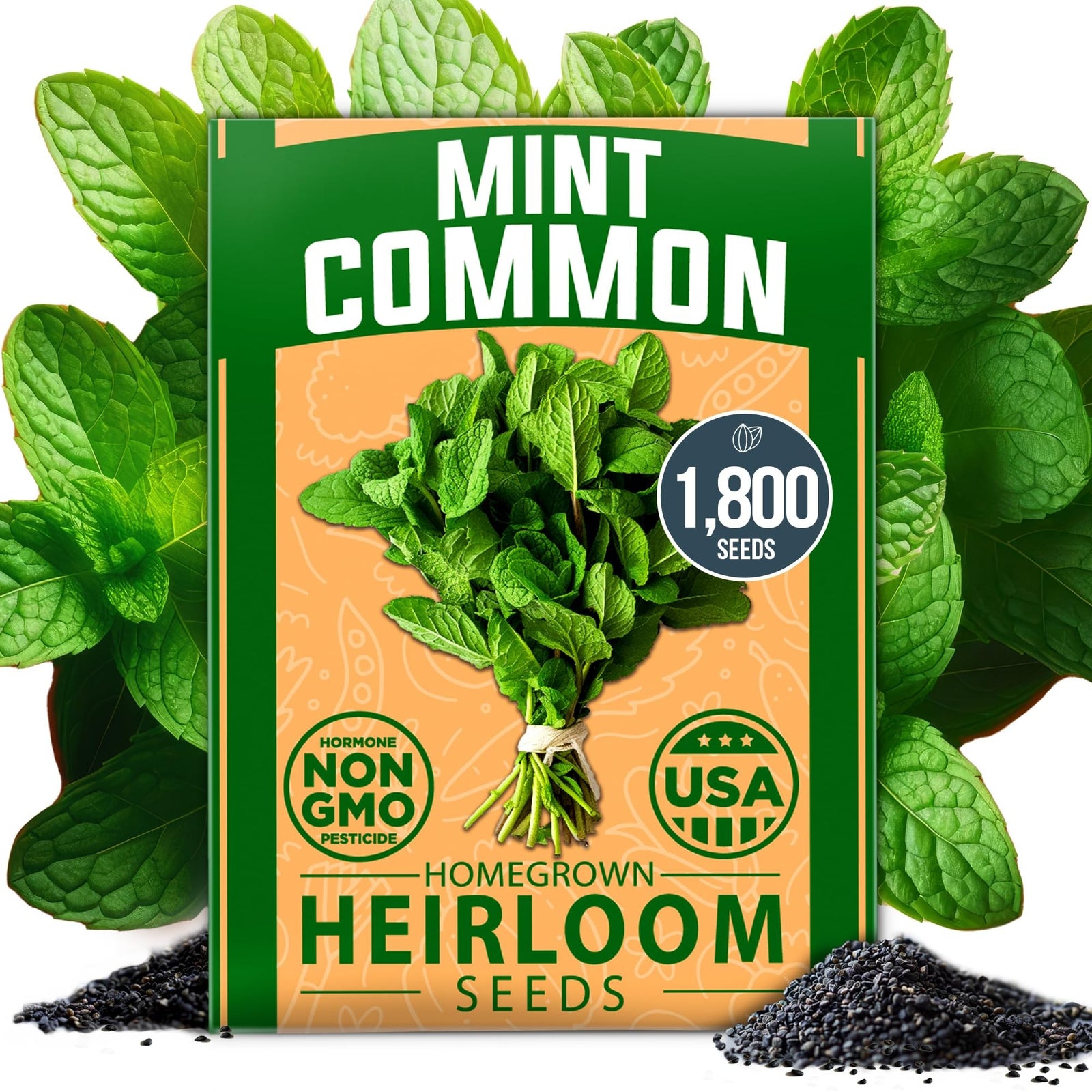 Common Mint Seeds - 1,800 Seeds - Fast-Growing Hardy Herb