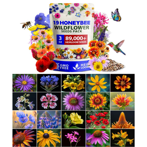 Honeybee Wildflower Seed Mix - 89,000+ Seeds (3 oz) - 19 Varieties