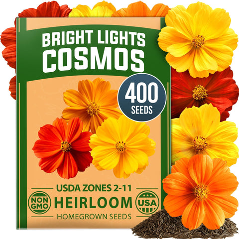 Bright Lights Cosmos Seeds - 400 Seeds - Easy-Grow Annual Mix