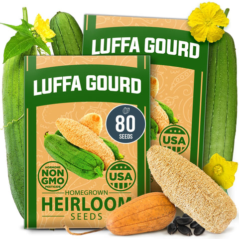 Luffa Seeds - 80 Seeds (2-Pack) - Grow Natural Sponges