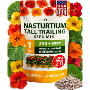 Dwarf Nasturtium