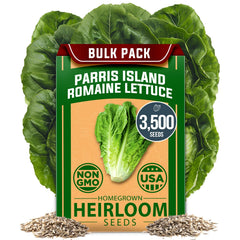 Parris Island Romaine Lettuce Seeds - 3,500 Seeds - Crisp Heirloom