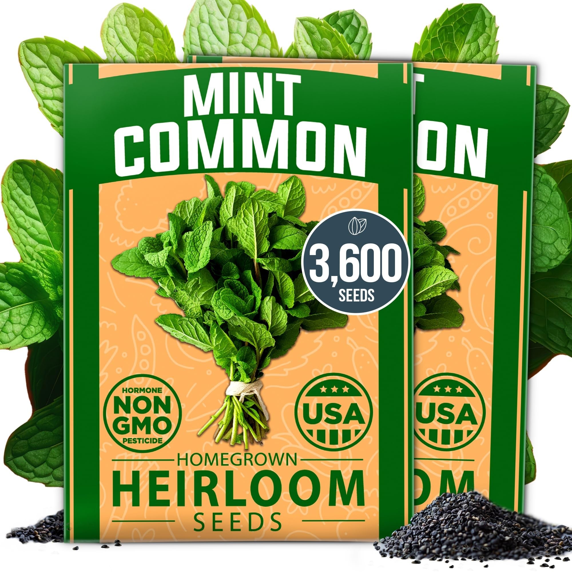 Common Mint Seeds - 2 Packs of 1,800 - Fast-Growing Hardy Herb
