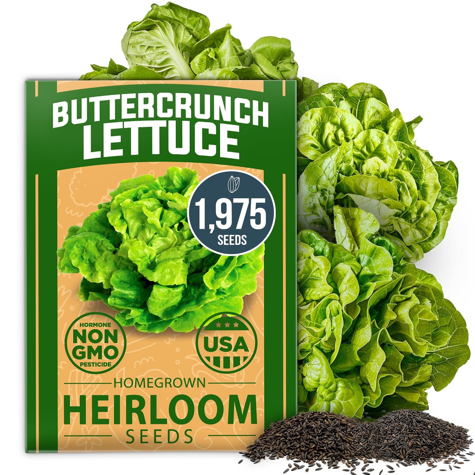 Buttercrunch Lettuce Seeds - 1,975 Seeds - Classic Butterhead