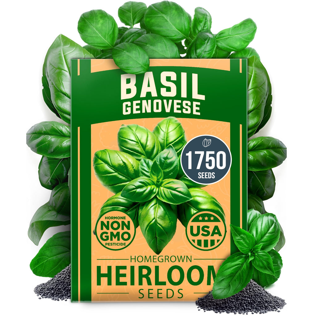 Genovese Basil Seeds - 1,750 Seeds - Classic Italian Heirloom