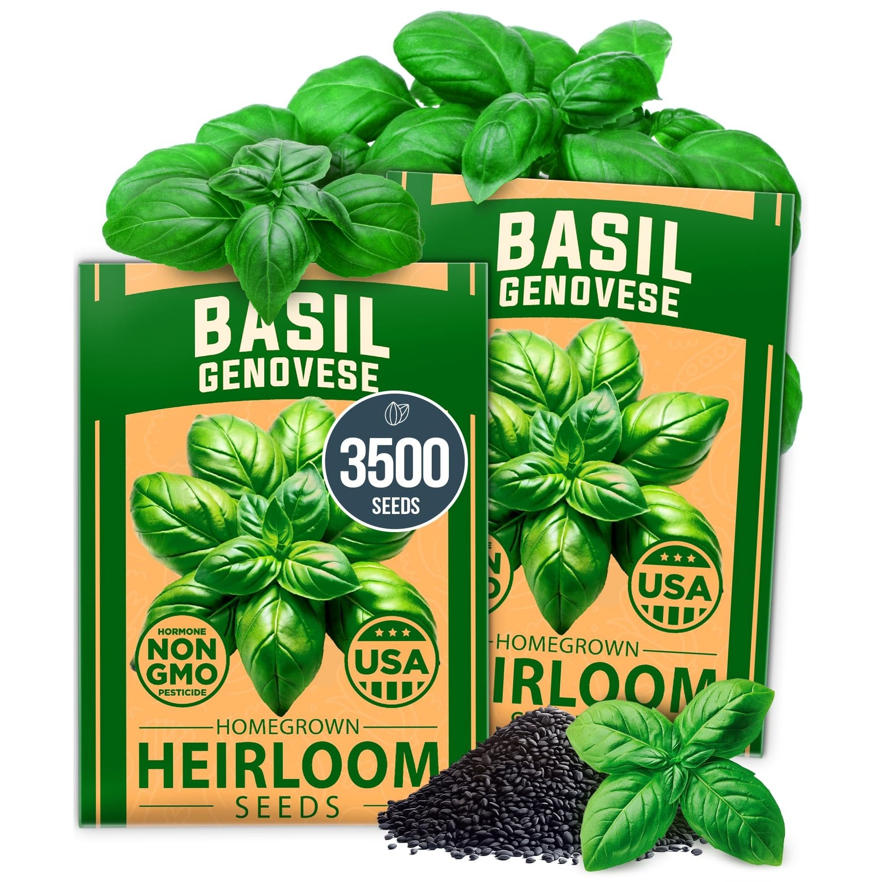 Genovese Basil Seeds - 3,500 Seeds (2-Pack) - Classic Italian Heirloom