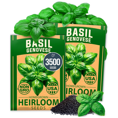 Genovese Basil Seeds Kit – 1,750 Non-GMO Heirloom Seeds with Pots & Soil for Indoor/Outdoor Growing