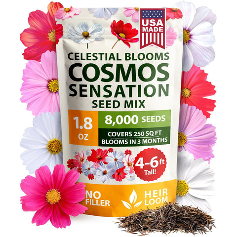 Sensation Mix Cosmos Seeds - 8,000 Seeds (1.8 oz) - Tall Annual Blooms