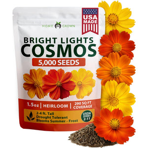 Bright Lights Cosmos