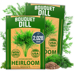 Bouquet Dill Seeds - 2,028 Seeds (2-Pack) - Heirloom for Pickling