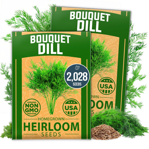 Bouquet Dill Seeds - 2,028 Seeds (2-Pack) - Heirloom for Pickling