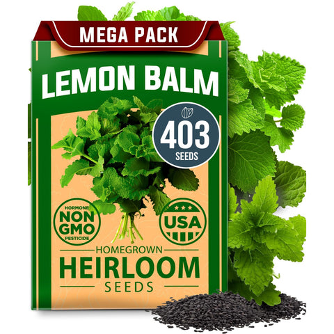 Lemon Balm Seeds - 403 Seeds - Citrus-Scented Perennial