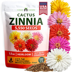 Cactus Mix Zinnia