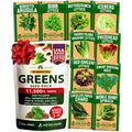 Lettuce and Leafy Greens Seeds - (10 Variety)
