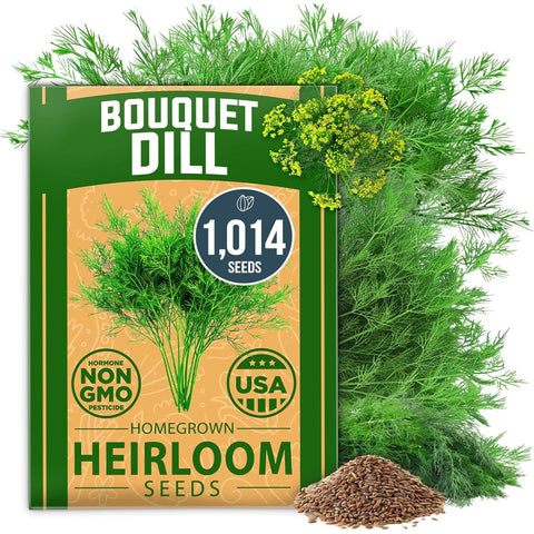 Bouquet Dill Seeds - 1,014 Seeds - Heirloom for Pickling