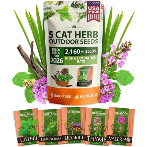 Cat Herb Seed Pack - 5 Varieties (2,100+ Seeds) - Digestive Support