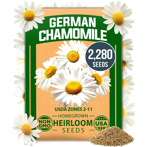 German Chamomile Seeds - 2,280 Seeds - Classic Tea Herb