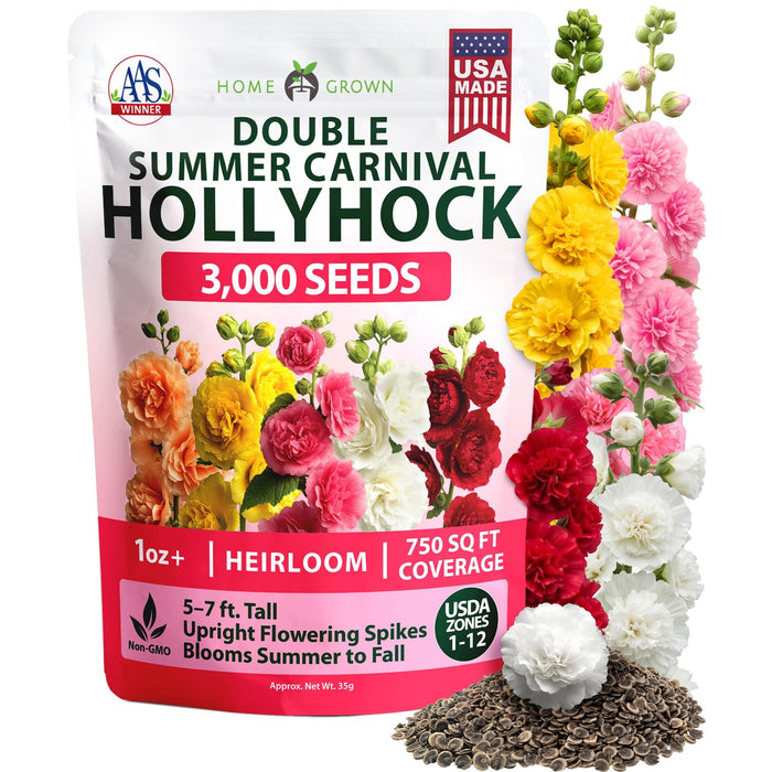 Summer Carnival Hollyhock