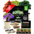 Bonsai Tree Grow Kit