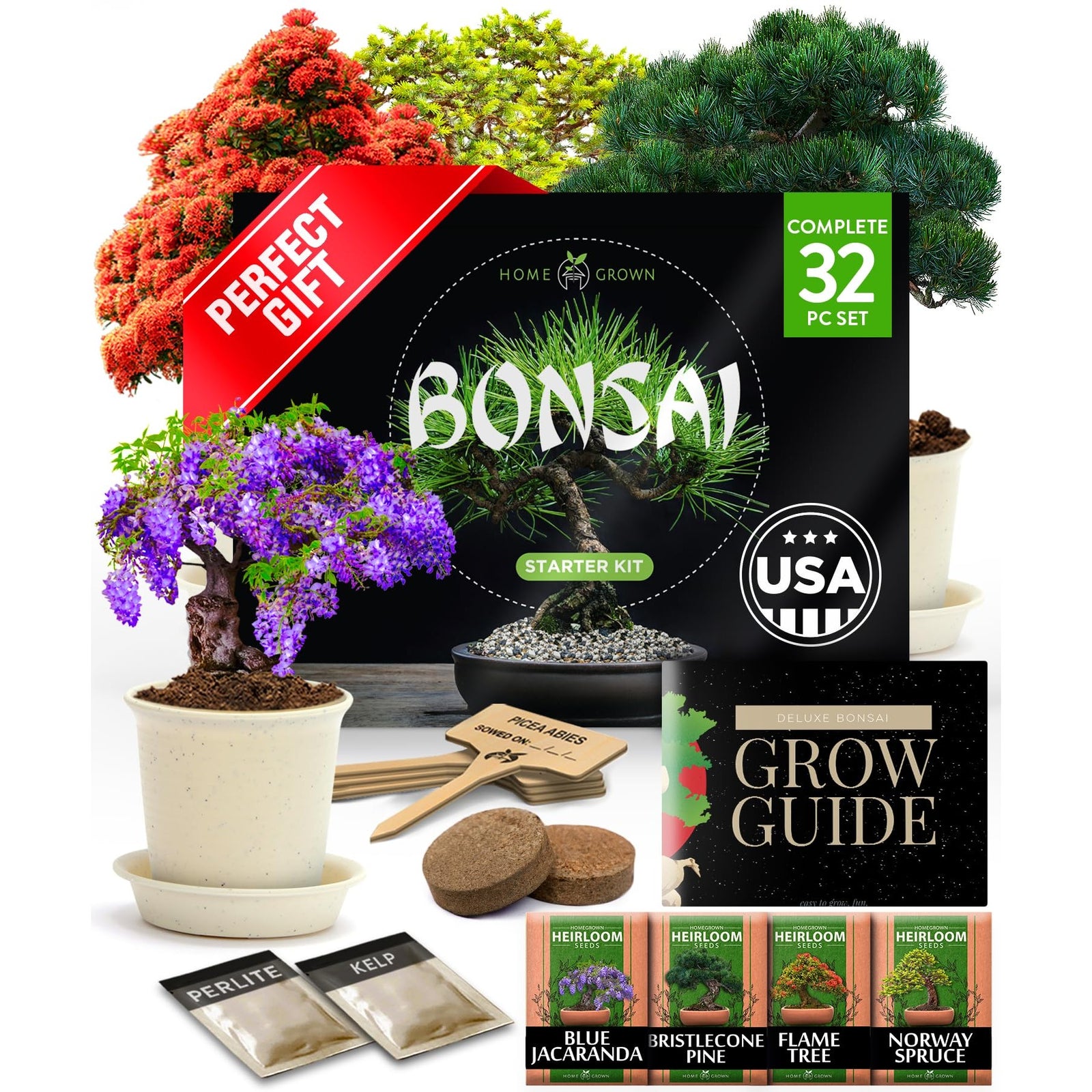 Bonsai Tree Grow Kit