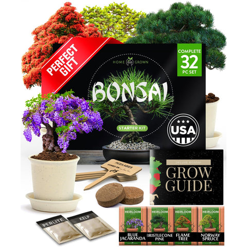 Bonsai Tree Grow Kit