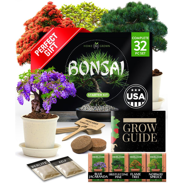 Bonsai Tree Grow Kit
