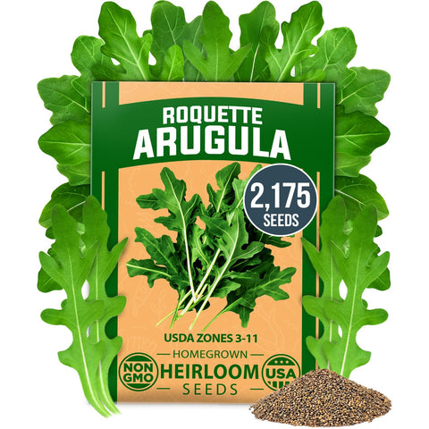 Arugula Seeds - 2,175 Seeds - Fast-Growing Salad Green