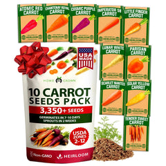 Rainbow Carrot Seed Pack - 10 Varieties - Red, Purple & Yellow Roots