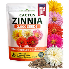 Cactus Mix Zinnia Seeds - 2,000 Seeds - Large Cut-Flower Blooms (1/2 oz)