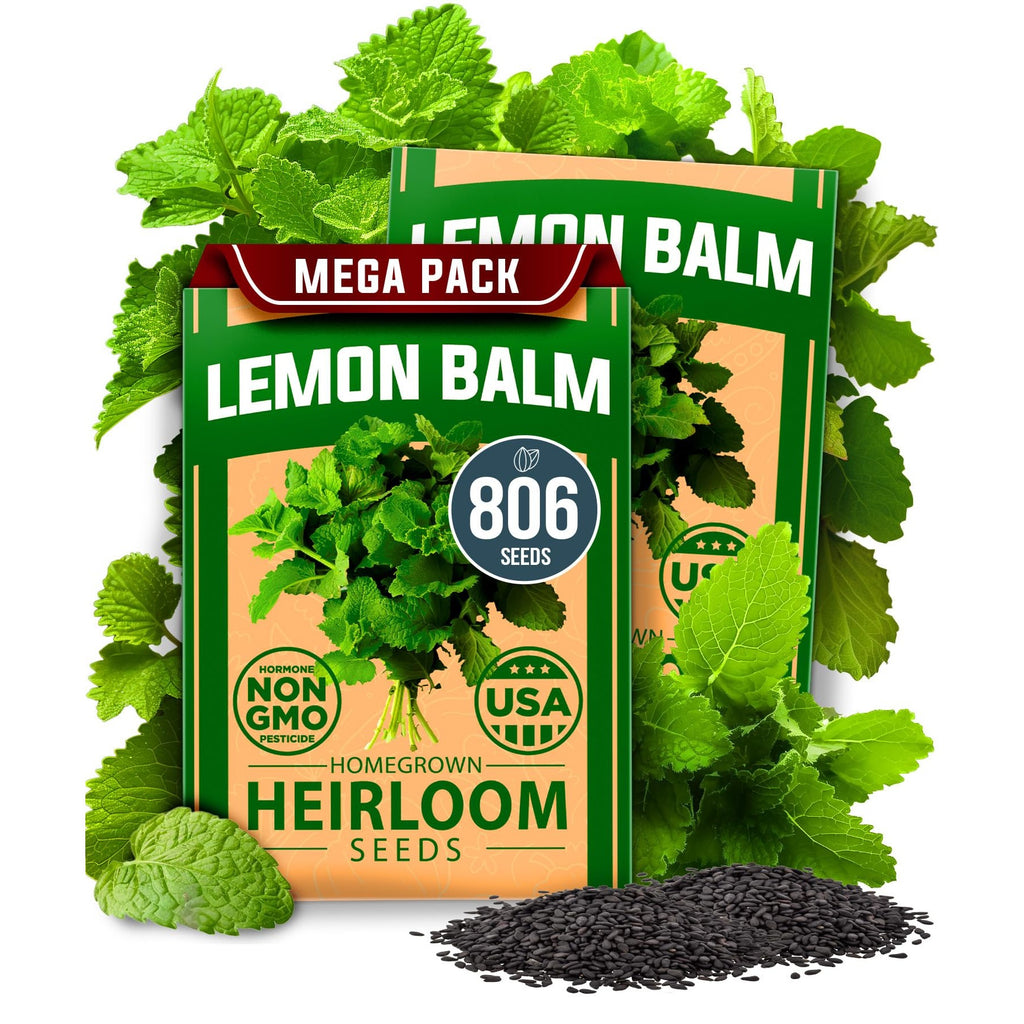 Lemon Balm Seeds - 806 Seeds (2-Pack) - Citrus-Scented Perennial