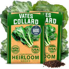 Vates Collard Seeds - 600 Seeds (2-Pack) - Cold-Hardy Heirloom