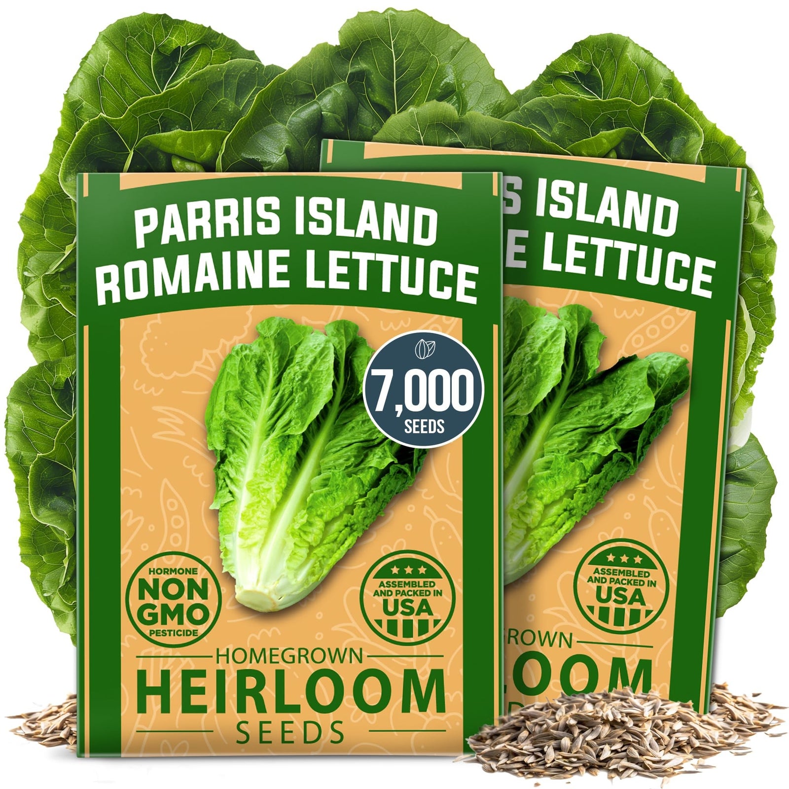 Parris Island Romaine Lettuce Seeds - 7,000 Seeds (2-Pack)