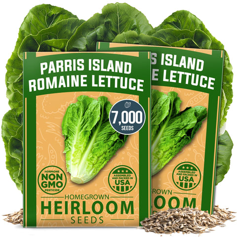 Parris Island Romaine Lettuce Seeds - 7,000 Seeds (2-Pack)